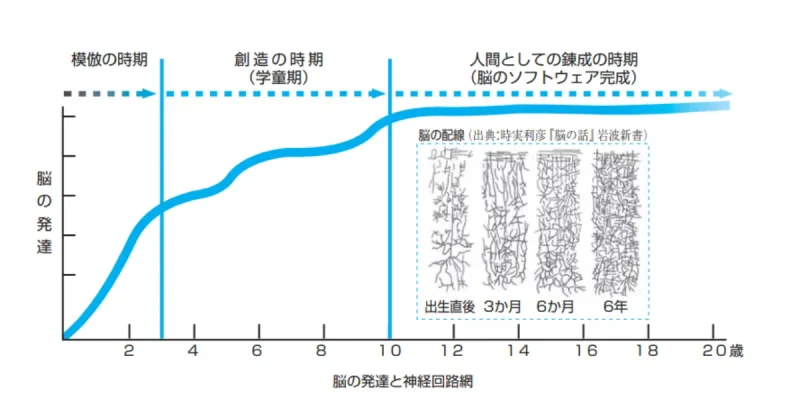 「脳の発達」と「生活習慣」